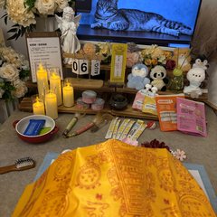 宠物家长客户见证