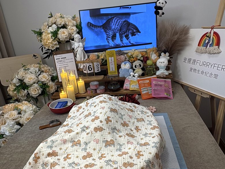 宠物爪印留念与纪念品定制