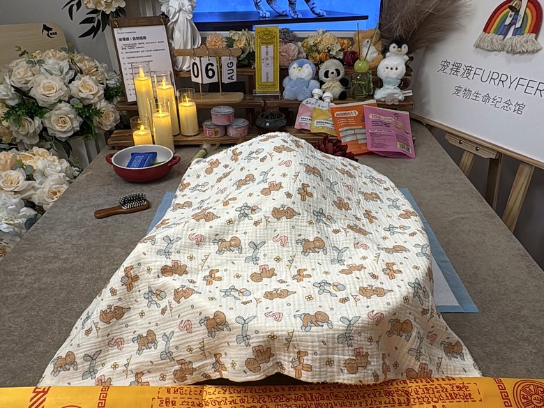 宠物纪念相册与追思布置