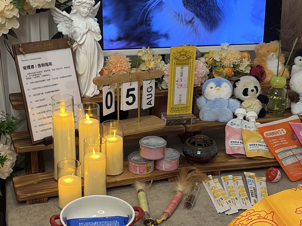 宠物告别仪式现场布置